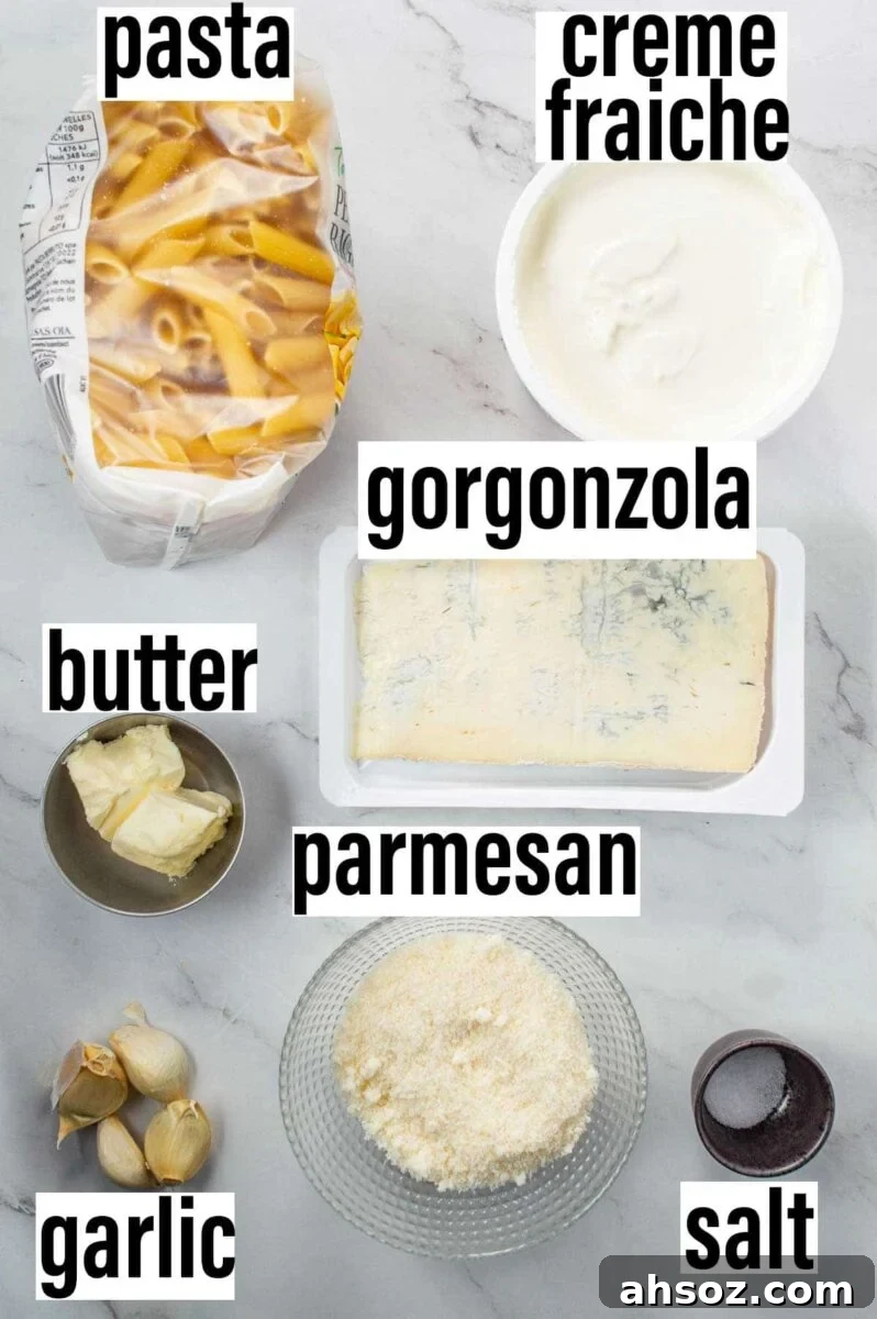 Labelled ingredients including pasta, creme fraiche, gorgonzola, butter, parmesan, butter and salt.