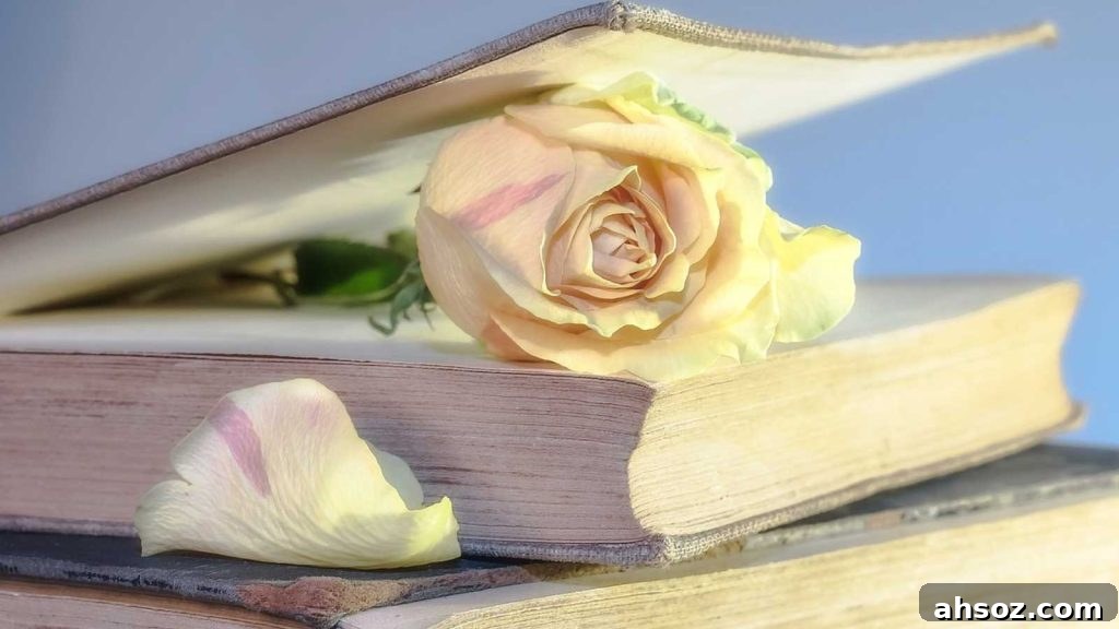 Most Banned Books Across America
