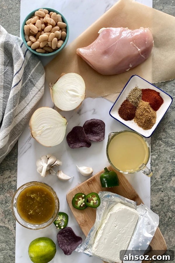 ingredients for soup with chicken and salsa verde