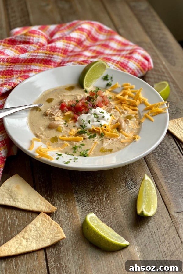 bowl of chicken enchilada soup with homemade tortilla chips