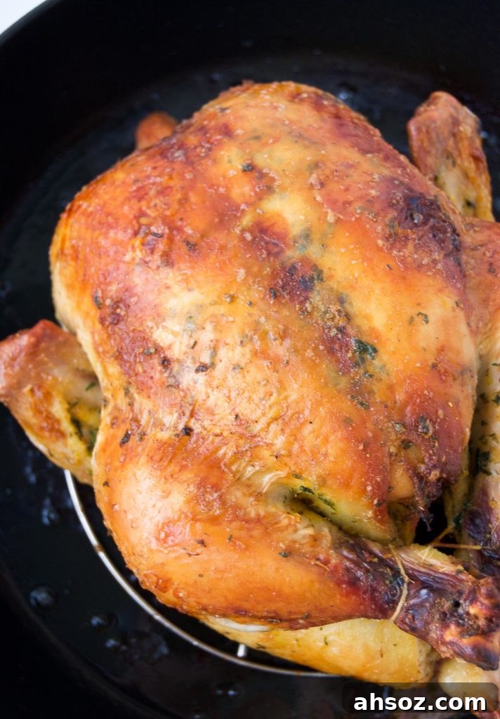 Close up of a Rotisserie-Style Brazilian Chicken in a cast iron roasting pan