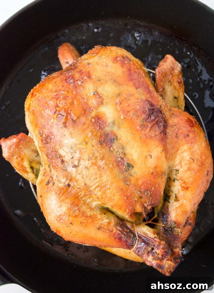 Close up of a trussed Rotisserie-Style Brazilian Chicken after baking in a cast iron roasting pan