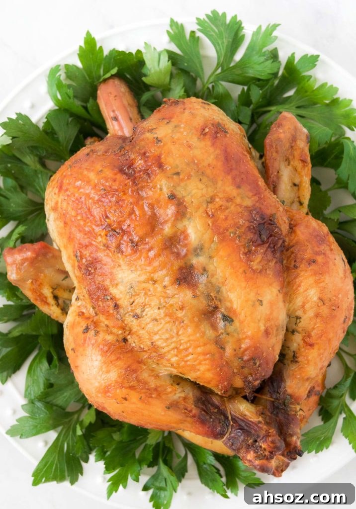 A whole roasted chicken sits on a bed of greens 