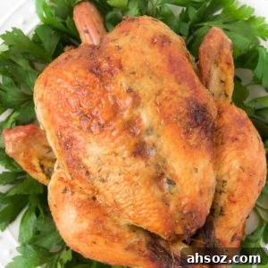 A whole roasted chicken sits on a bed of greens