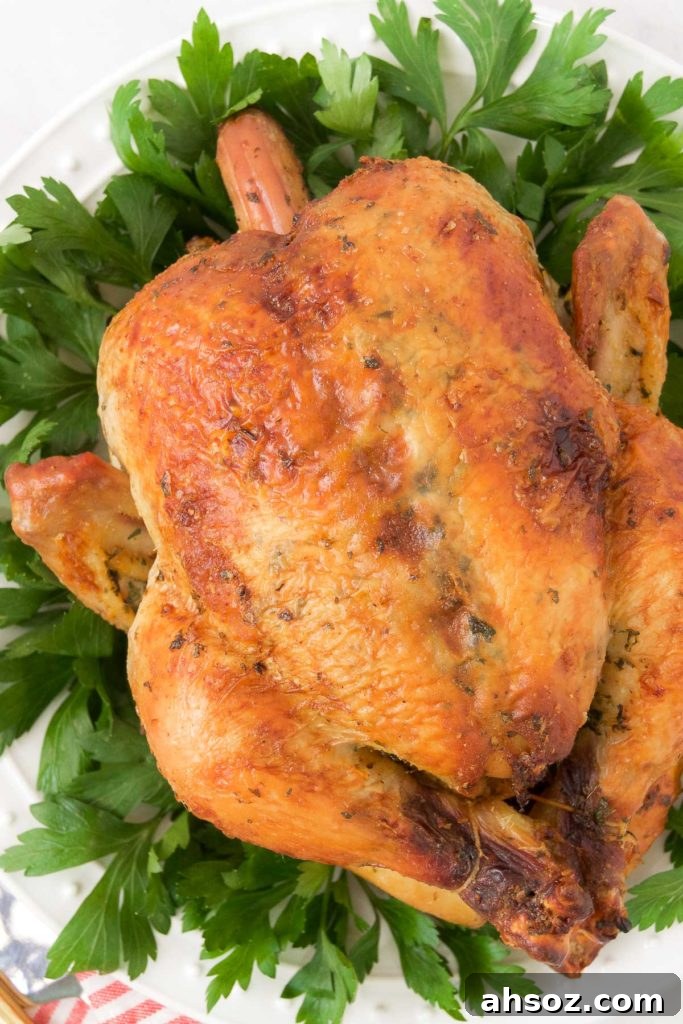 A whole roasted chicken sits on a bed of greens on a white plate