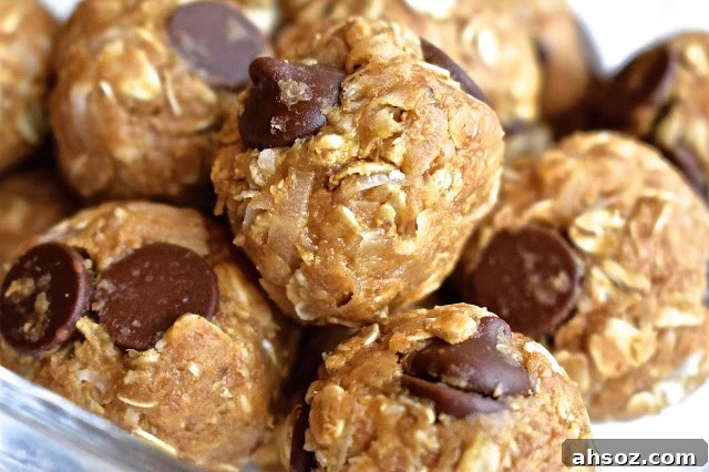 Ingredients for peanut butter protein bites