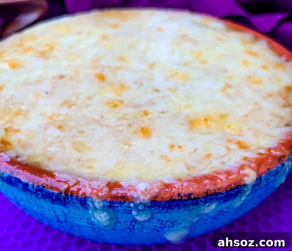 Instant Pot French onion soup in a bowl with cheese