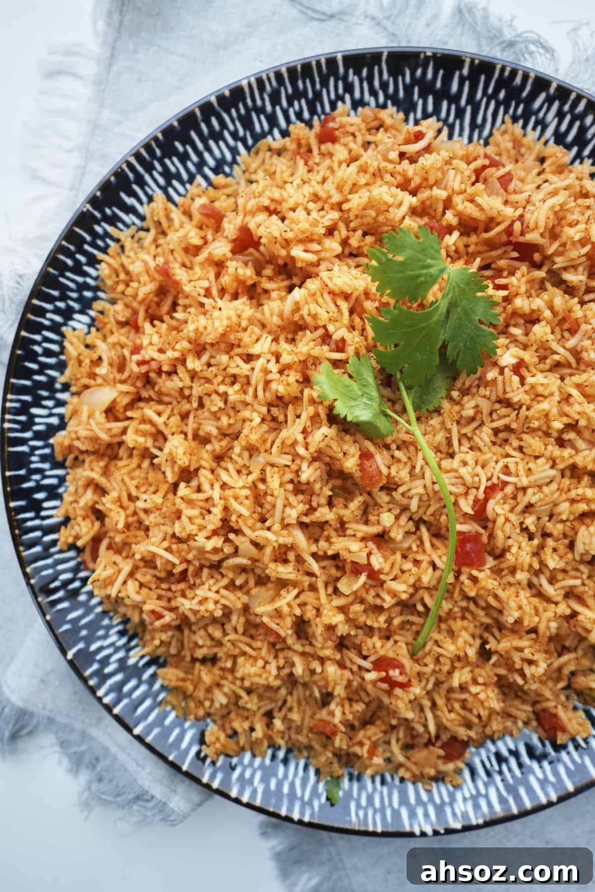 overhead of large plate with spanish rice and fresh cilantro