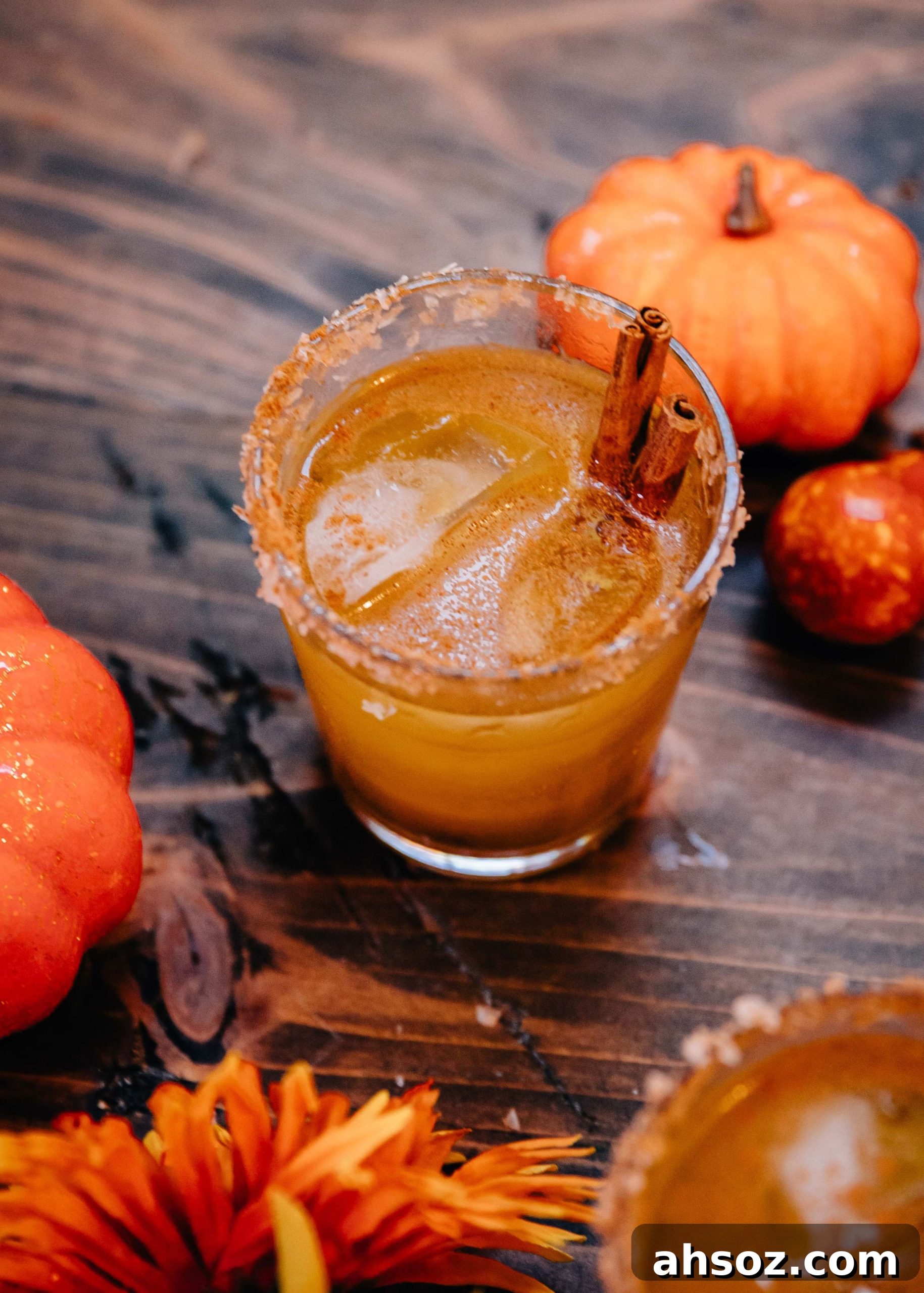 Pumpkin Spice Margaritas | autumn fall cocktail