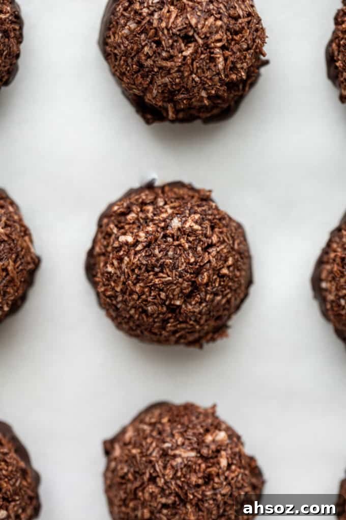 a chocolate coconut macaroon