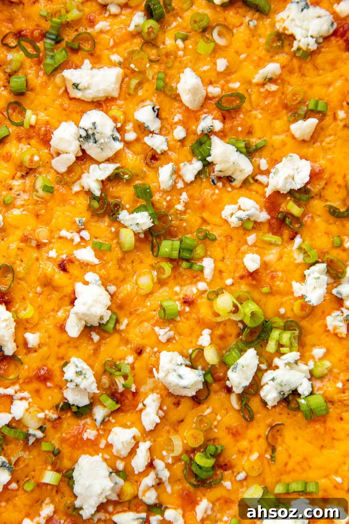 a close up image of buffalo chicken dip garnished with green onions and bleu cheese. 