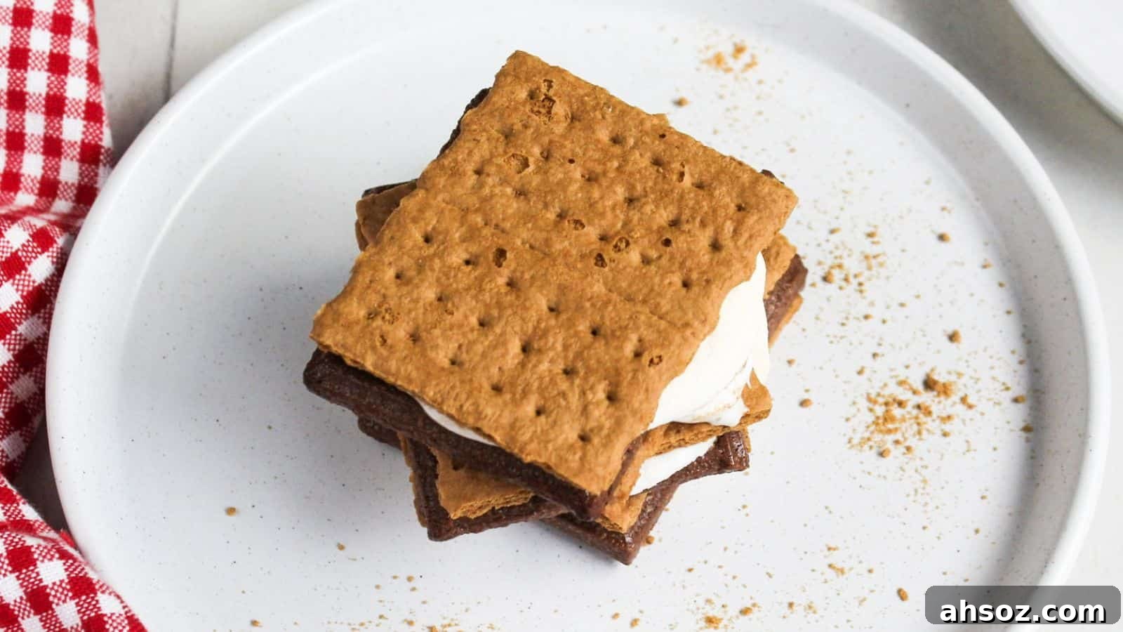 A s'more with melted marshmallow and chocolate between graham crackers on a white plate.