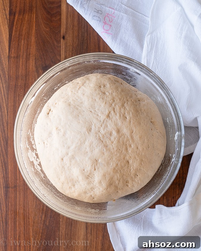 risen dough in bowl