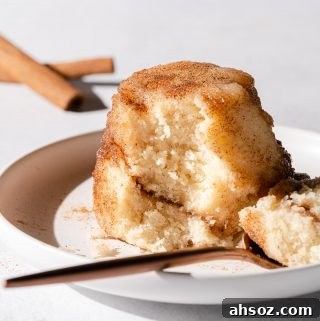 snickerdoodle mug cake on white plate