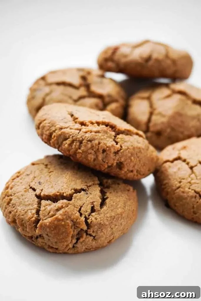 Learn how to make oatmeal cookies from scratch with this easy and healthy flourless oatmeal cookie recipe! To make these healthy cookies we’ll use gluten free oats, coconut sugar, an egg, coconut oil, some baking soda and some chocolate chips! Soft and chewy, kids love these - as a treat, or a healthy snack! These are seriously the best homemade oatmeal chocolate chip cookies!