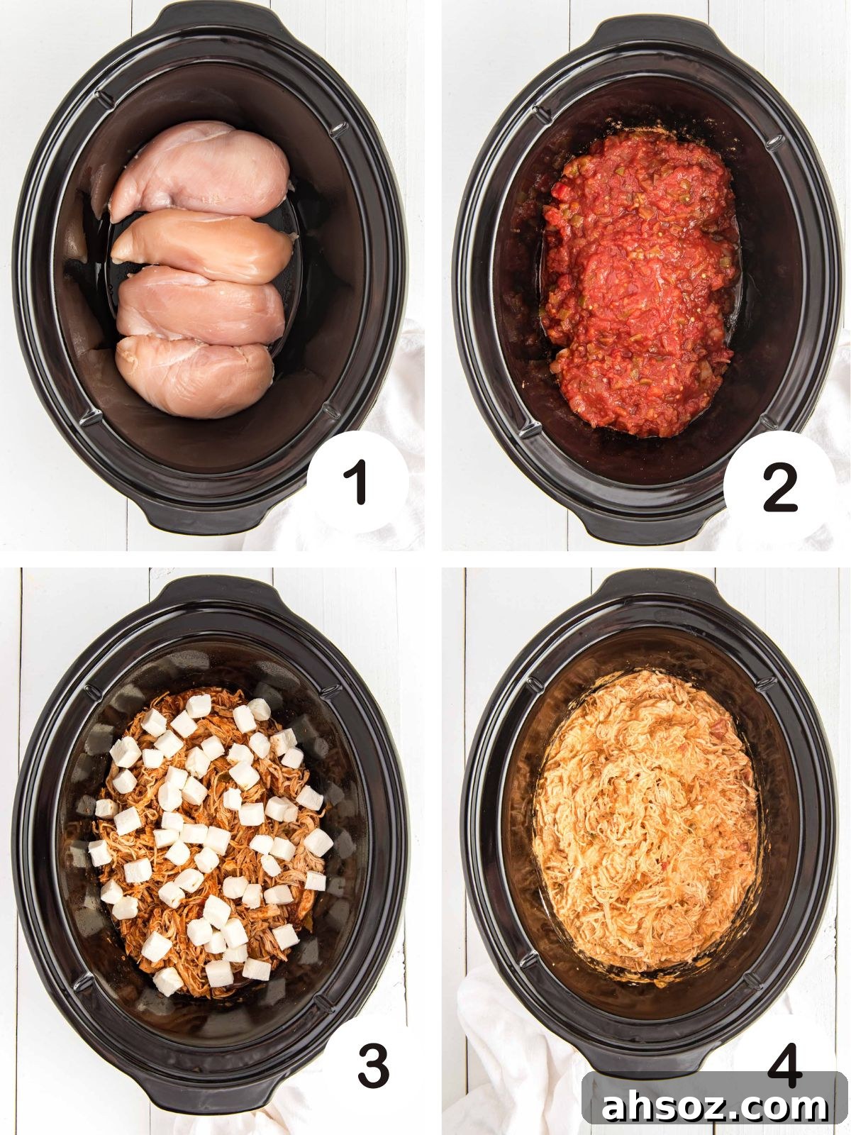 Process photos for salsa chicken.