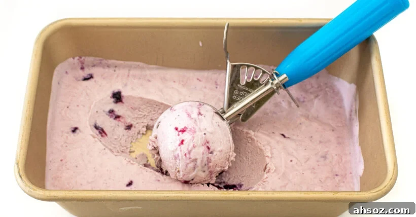 Scooping frozen blueberry cottage cheese ice cream.