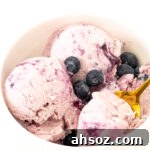 Blueberry cottage cheese ice cream in a small bowl.