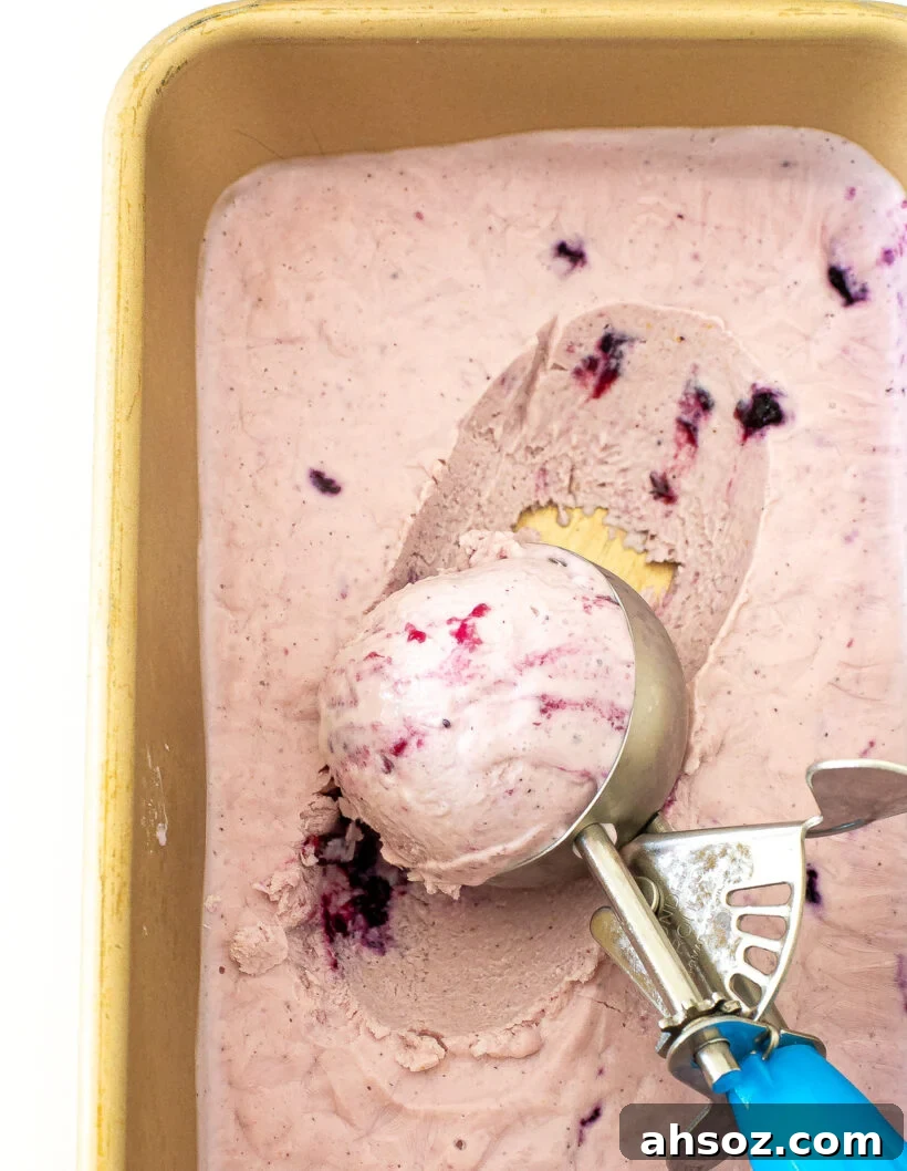 Ice cream scoop lifting blueberry cottage cheese ice cream from a gold loaf pan.