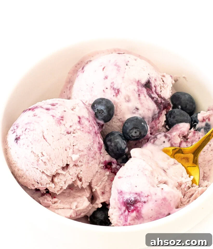 Blueberry cottage cheese ice cream in a bowl with blueberries and a spoon.