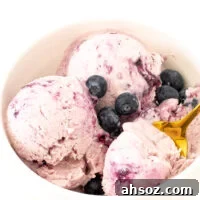 Blueberry cottage cheese ice cream recipe image.