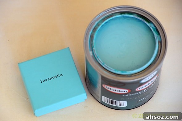 Tiffany Blue Bookshelf from Zestuous