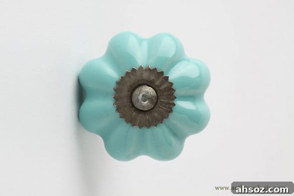 Anthropologie Knob
