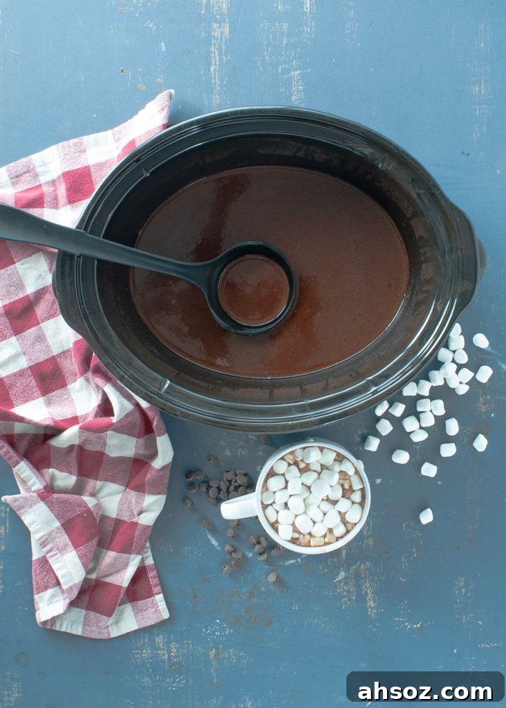 crock-pot-hot-chocolate-dairy-free