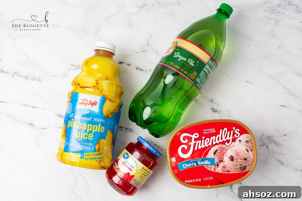 Ingredients for Ice Cream Punch