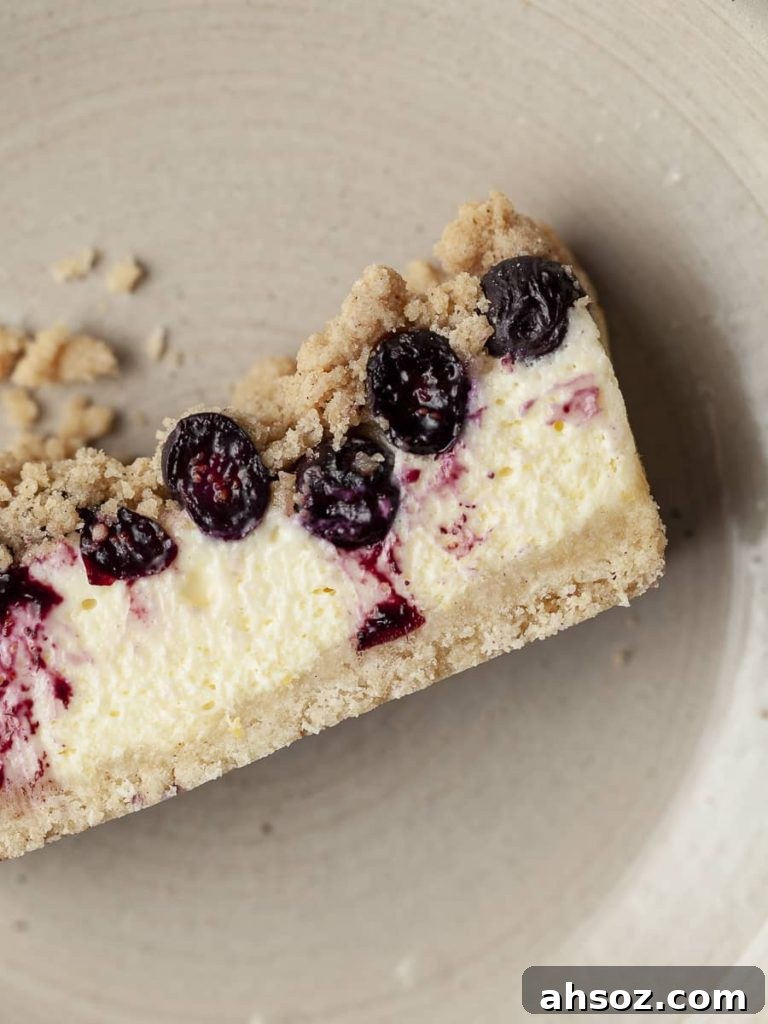 gluten free blueberry cheesecake with crumble topping