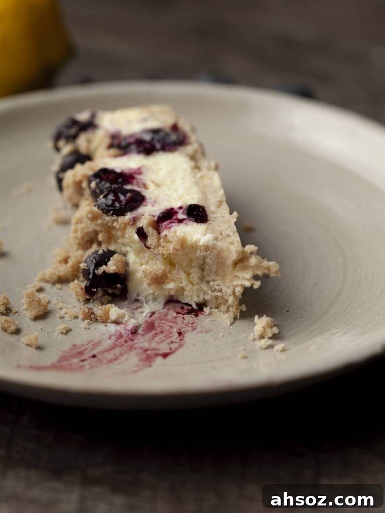bite of gluten free blueberry cheesecake