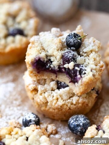 Gluten Free Blueberry Cookies made with streusel