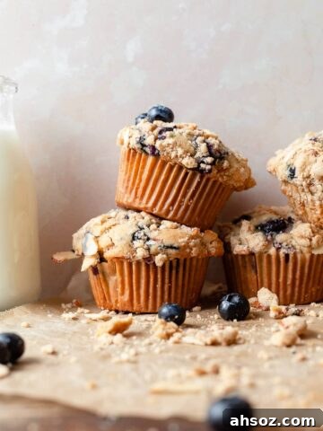 gluten free blueberry muffins