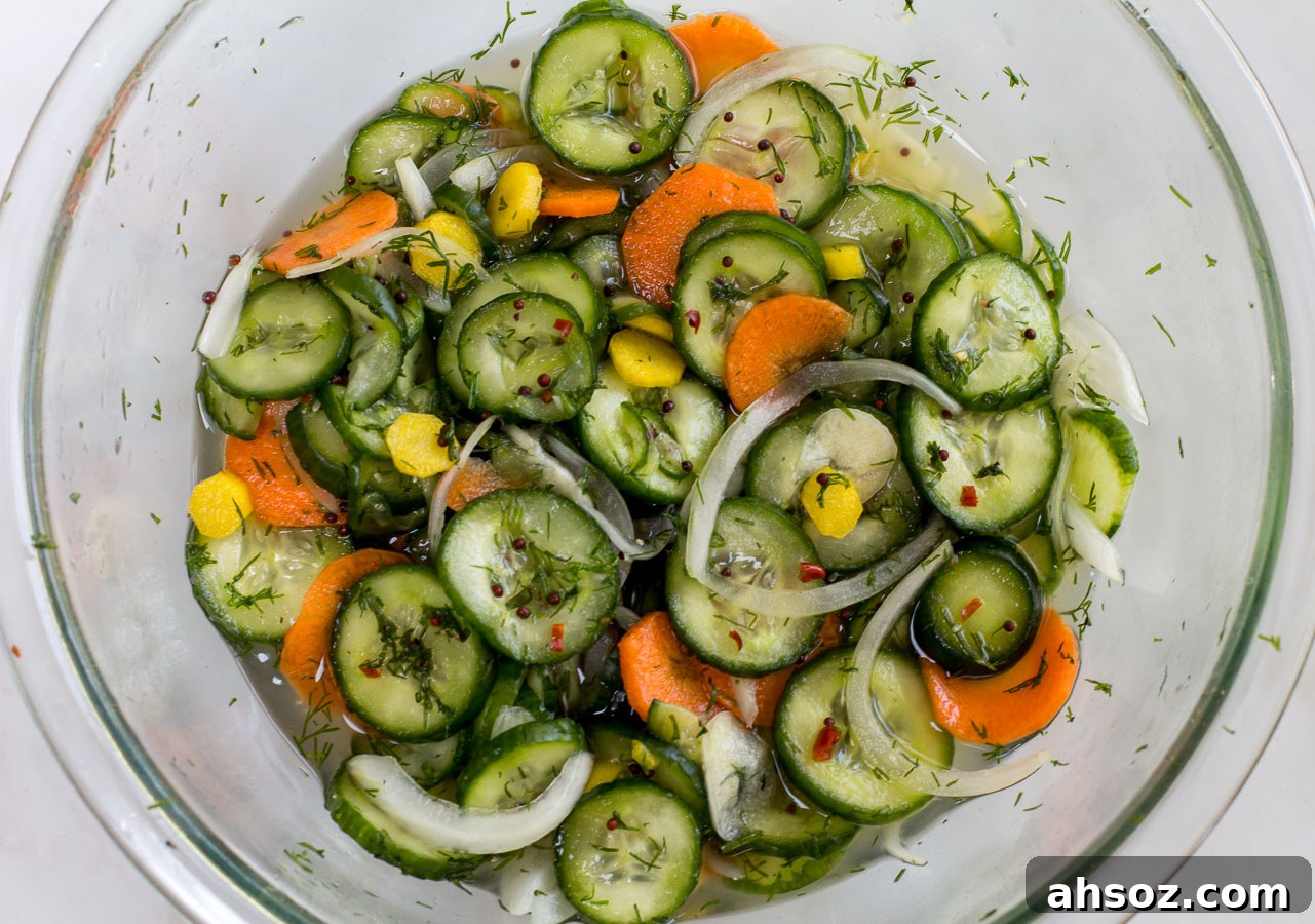 Pickle brine poured over cucumbers with fresh dill
