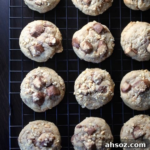 So Peanutty Peanut Butter Cookies