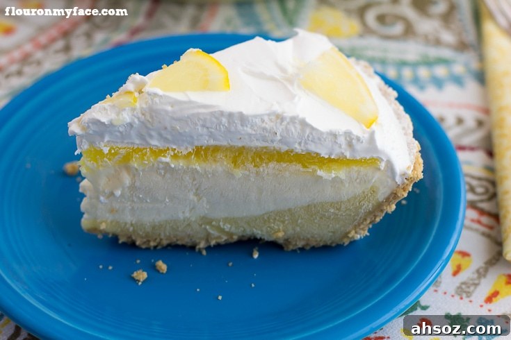 Serve a slice of this No-Bake Lemon Pudding Pie recipe at your next family gathering. It is a very easy pie recipe to make and lemon pies are perfect to cool you off via flouronmyface.com