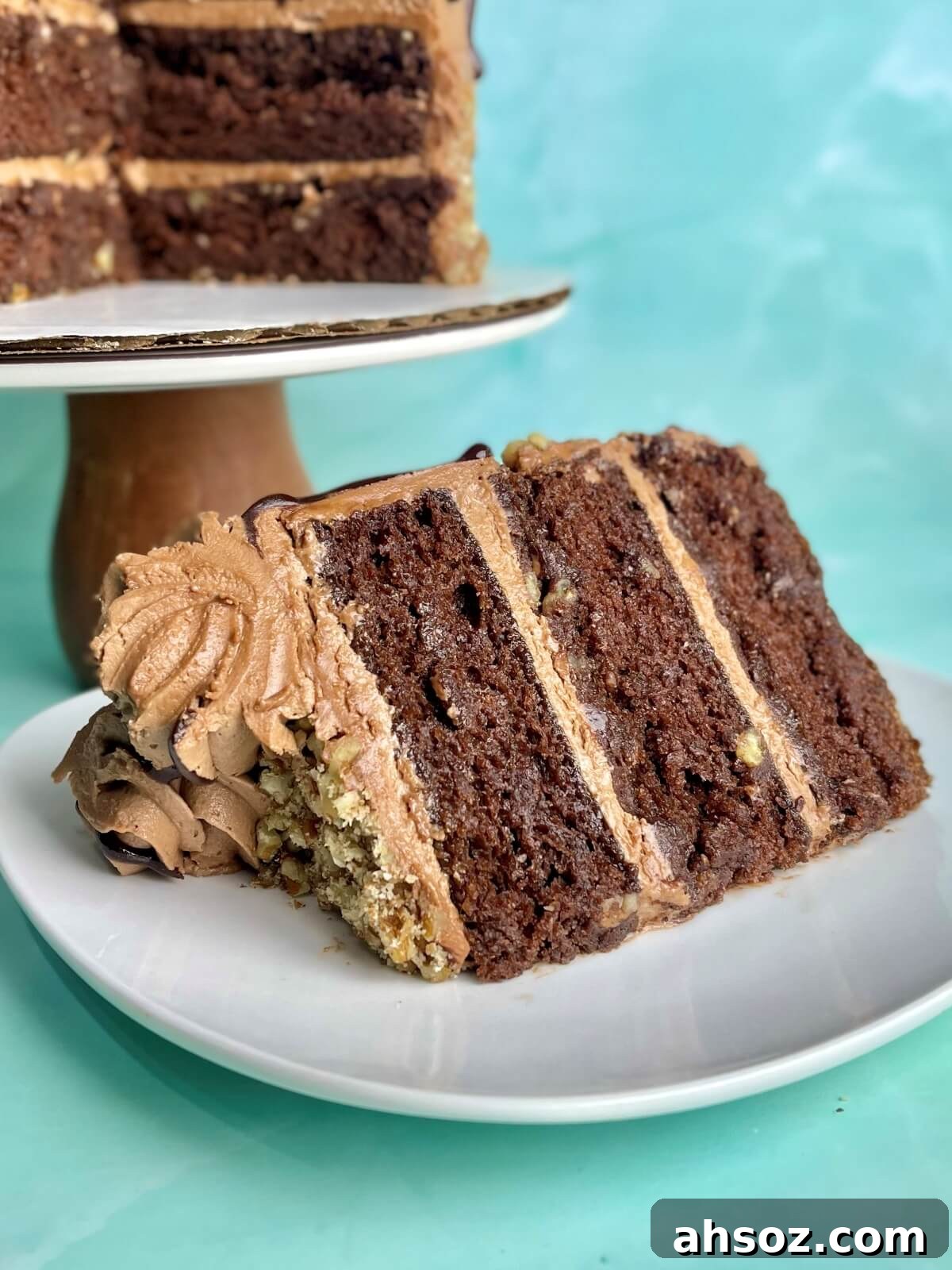Chocolate cinnamon cake