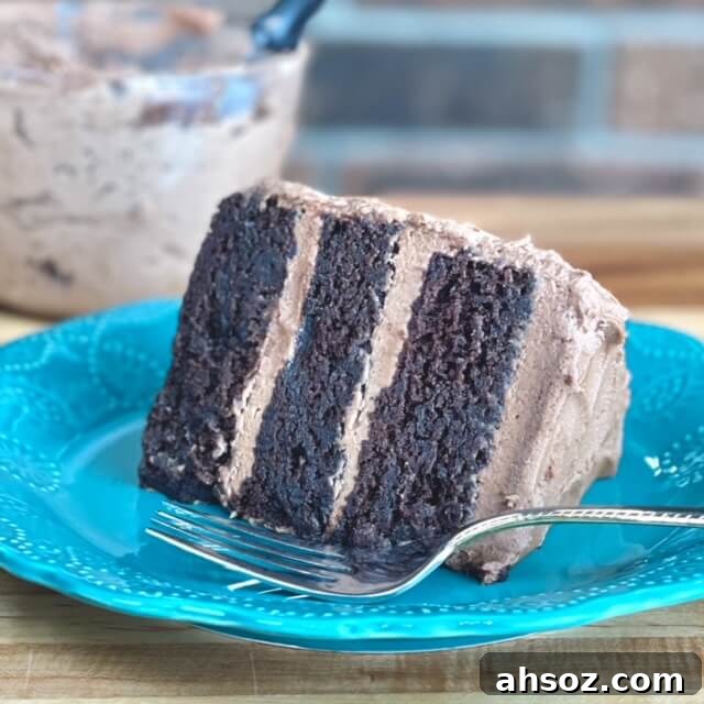 Double chocolate cake slice