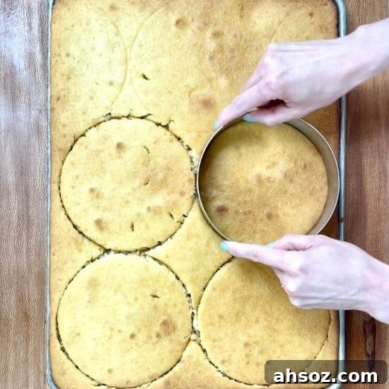 5 steps to layer cakes like a pro