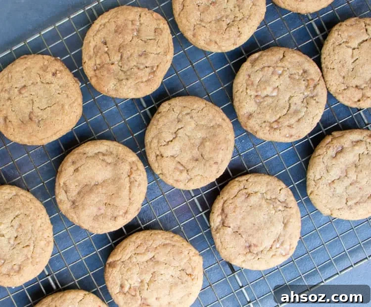 Soft chewy apple cookies made with freeze dried apples.