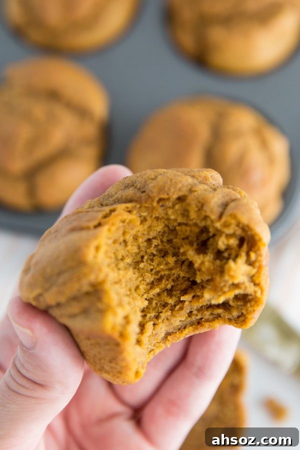 Fluffy vegan pumpkin muffins, an easy fall breakfast recipe made with pumpkin puree and pumpkin pie spice