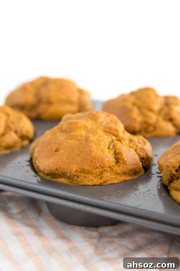 Vegan pumpkin muffins with a soft texture, perfect for fall baking and breakfast