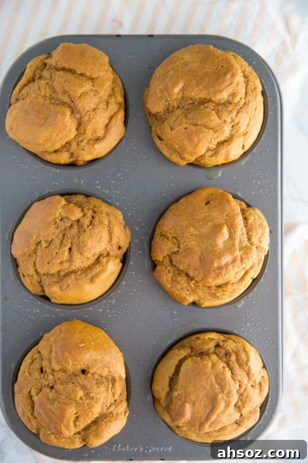 Easy vegan pumpkin muffins with a fluffy crumb and fall spices