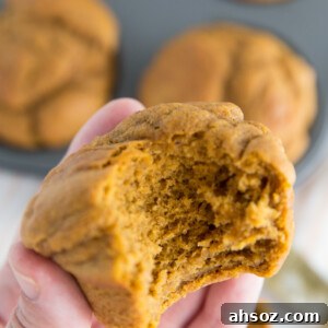 Vegan pumpkin muffins recipe